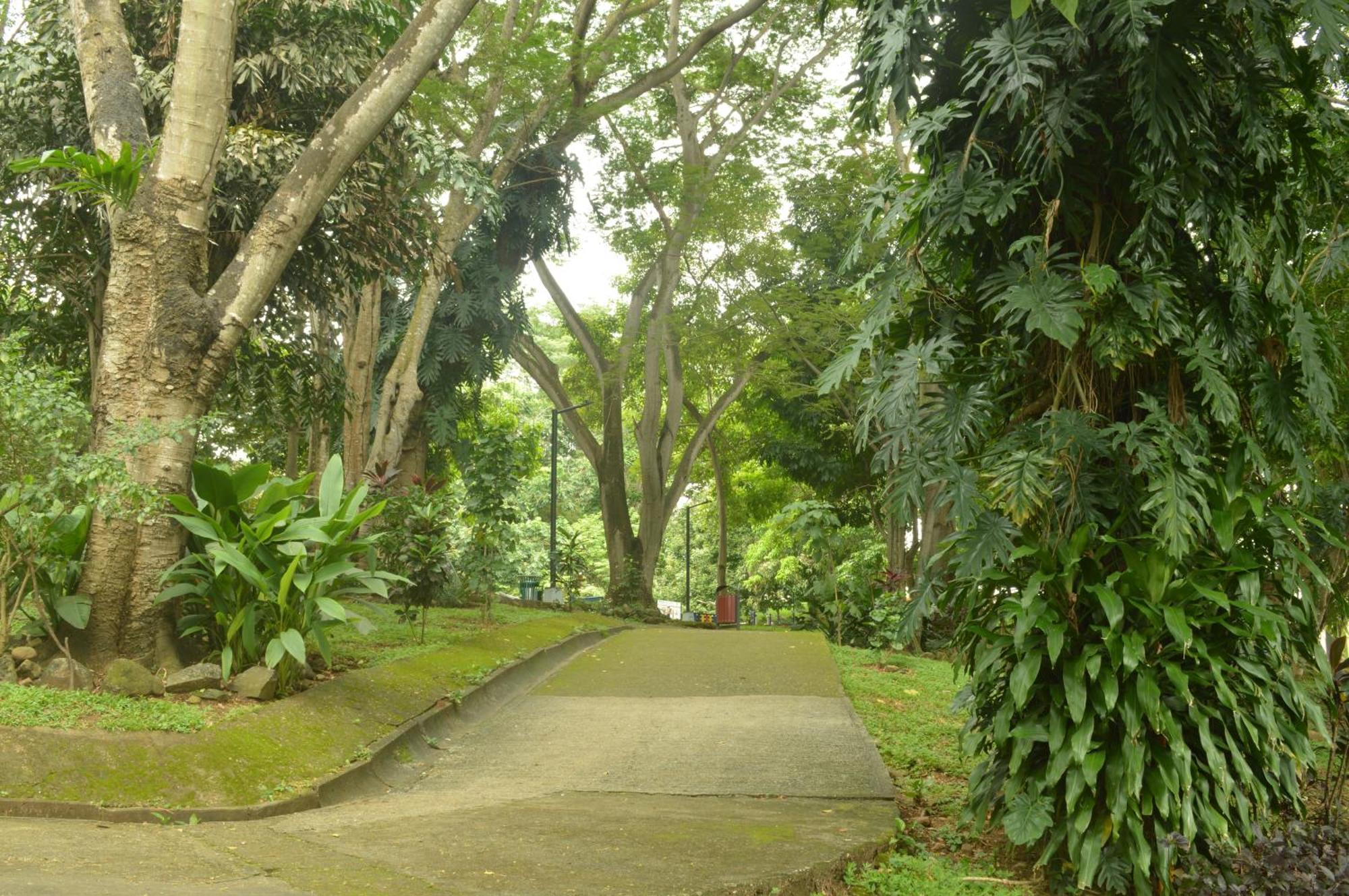 Totumas Lodge Panama City Eksteriør billede